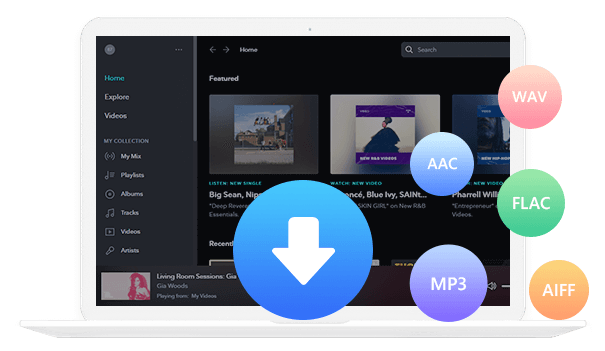 Tidal Media Downloader