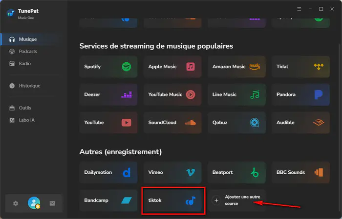 Sélectionnez TikTok
