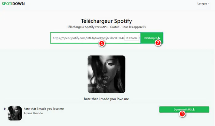 Téléchargez les chansons avec SpotiDown
