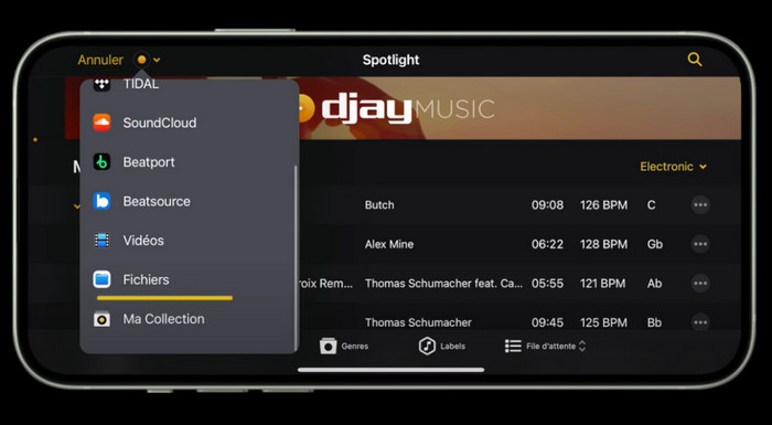 Utiliser Spotify avec Djay Pro pour iOS