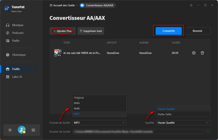Convertisseur AA/AAX