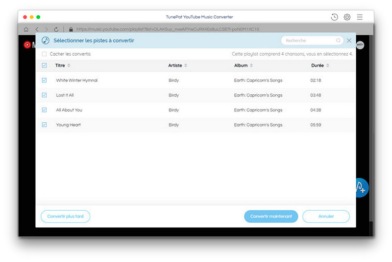 Importez des chansons dans la liste de conversion