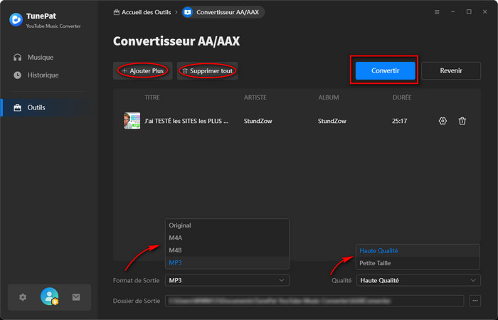 Convertisseur AA/AAX